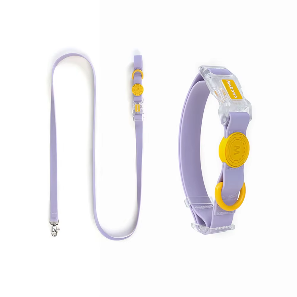 Close-up of green adjustable pet collar and leash set with transparent buckle for small dogs and cats