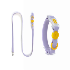 Close-up of green adjustable pet collar and leash set with transparent buckle for small dogs and cats