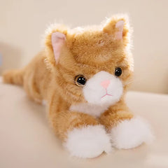 Cat Plush Stuffed Toys - Cat Shaped