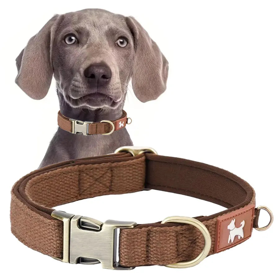 A rich roasted espresso coffee brown adjustable dog collar engineered for everyday walking comfort and dependable structural safety.