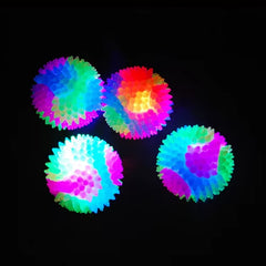 Dogs Glowing Elastic Ball For Training
