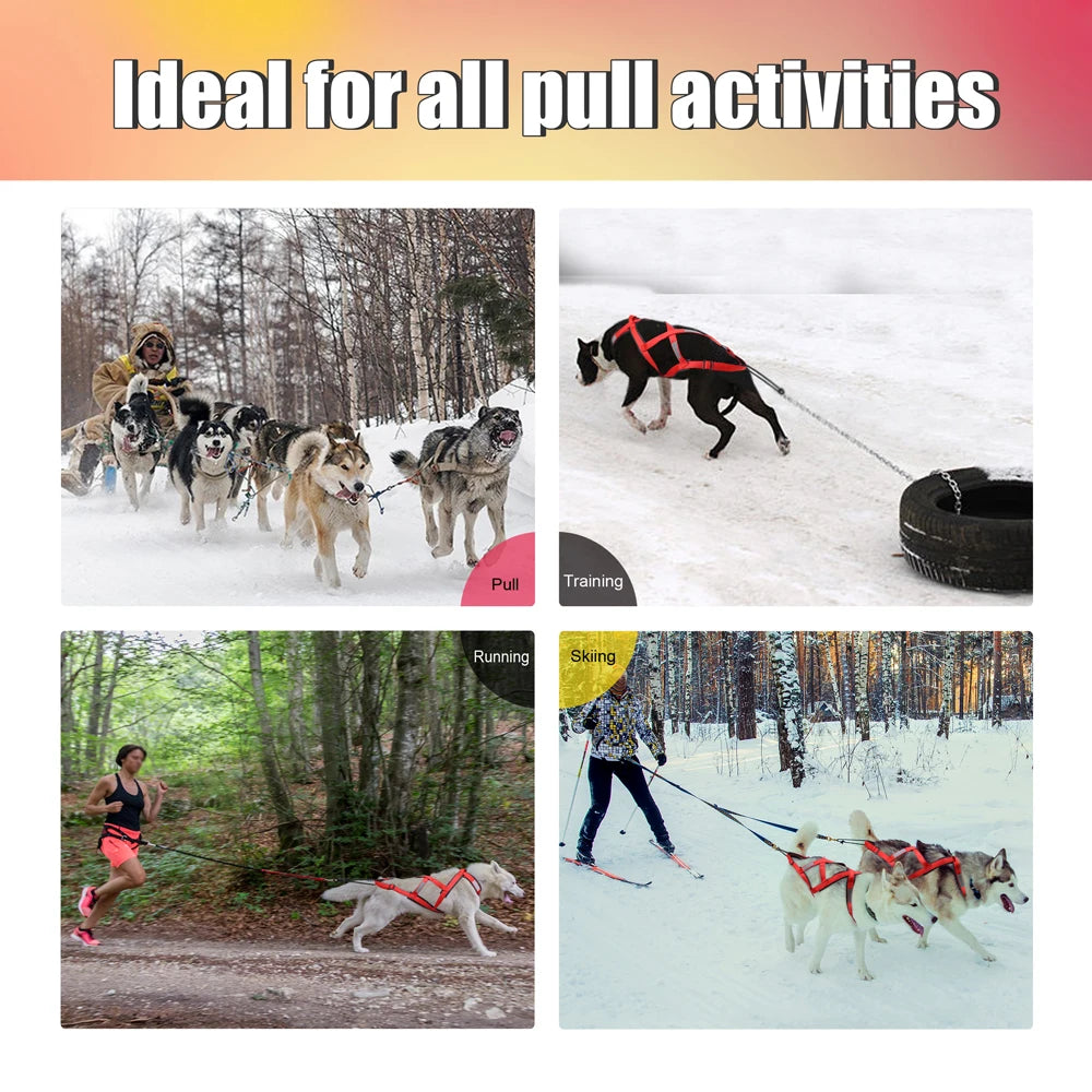 Professional Dog Sledding & Weight Pulling Harness - Reflective Waterproof Skijoring Vest - Heavy-Duty Padded Training Harness for Large Dogs
