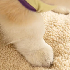 Pets Plush Mats With Neck Protection Pillows - Removable Cover