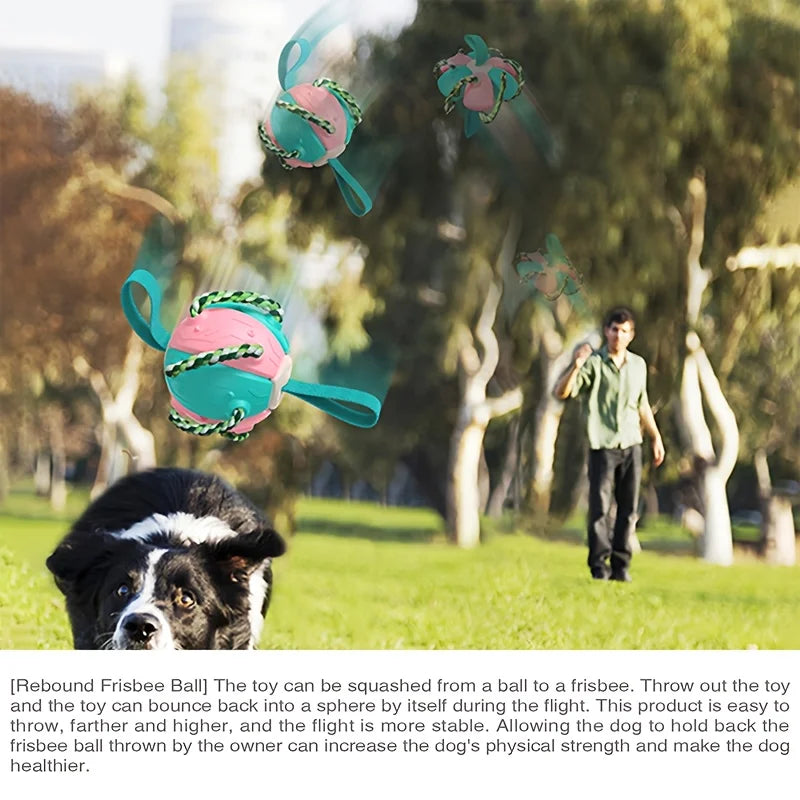 Pet Toys: Interactive Frisbee Soccer & Training Ball for Dogs