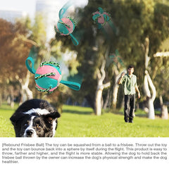 Pet Toys: Interactive Frisbee Soccer & Training Ball for Dogs