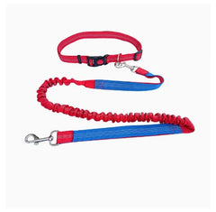 Hands-Free Dog Leash with Adjustable Waist Belt and Shock-Absorbing Bungee - Reflective Running, Jogging, and Walking Traction Rope for Small, Medium, and Large Dogs
