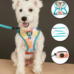 Luxury 3-Piece Adjustable Pet Harness, Leash, and Poop Bag Holder Set - No-Pull Breathable Mesh Walking Vest and Matching Travel Pouch for Dogs and Cats