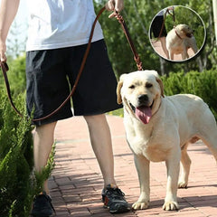 Braided Genuine Leather Dog Leash with Copper Hook – Long, Soft & Durable Lead for Training and Walking