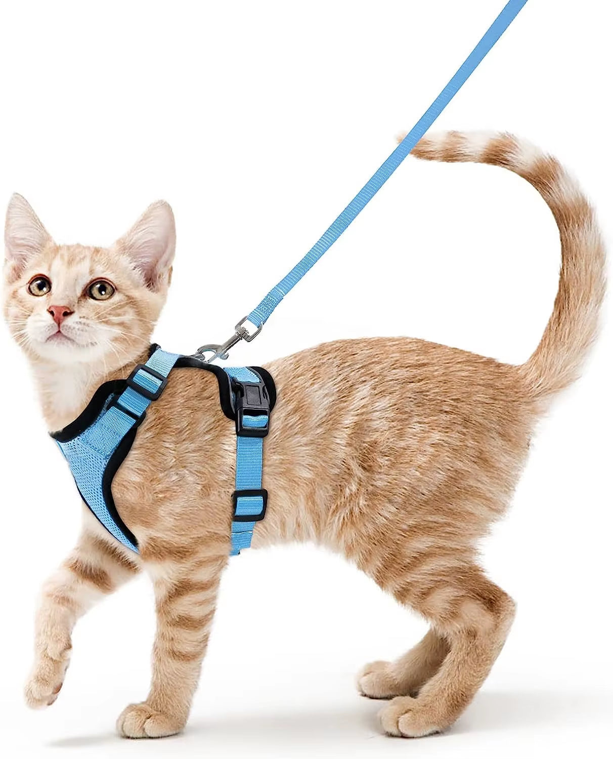 Cat Harness and Leash Set for Walking - Escape-Proof Adjustable Soft Vest Harness for Cats with Easy Control