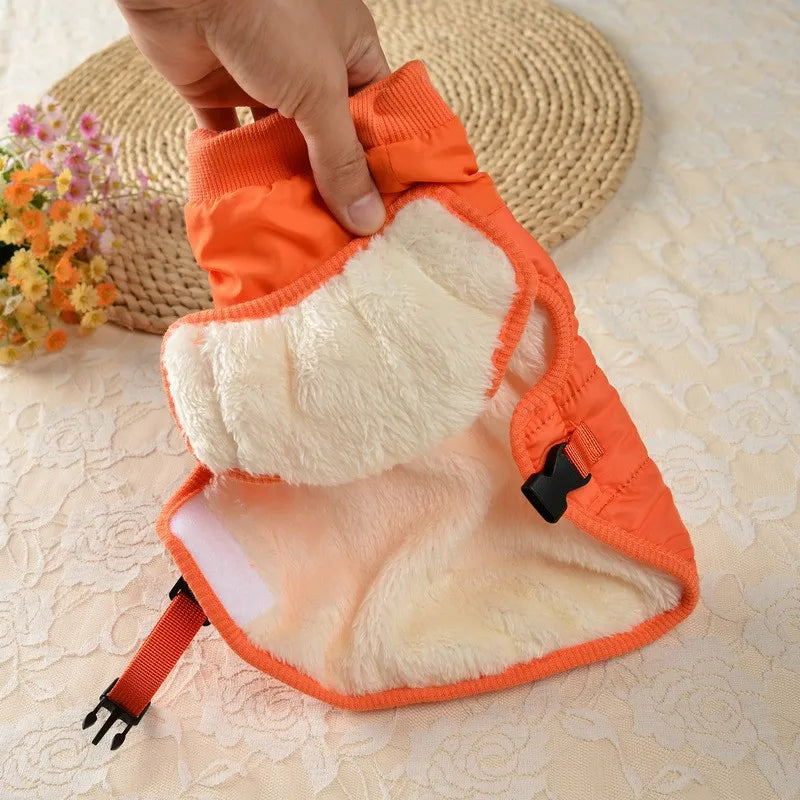 Winter Padded Waterproof Pet Jacket with Integrated Harness and Zipper - Orange And Green