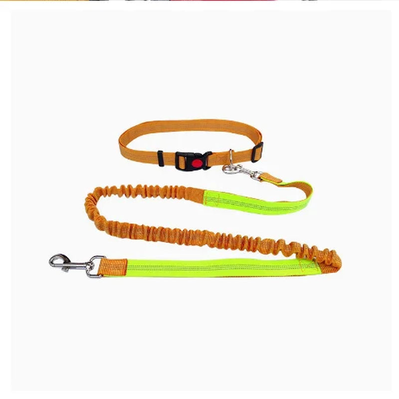Hands-Free Dog Leash with Adjustable Waist Belt and Shock-Absorbing Bungee - Reflective Running, Jogging, and Walking Traction Rope for Small, Medium, and Large Dogs