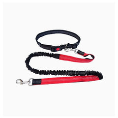 Hands-Free Dog Leash with Adjustable Waist Belt and Shock-Absorbing Bungee - Reflective Running, Jogging, and Walking Traction Rope for Small, Medium, and Large Dogs