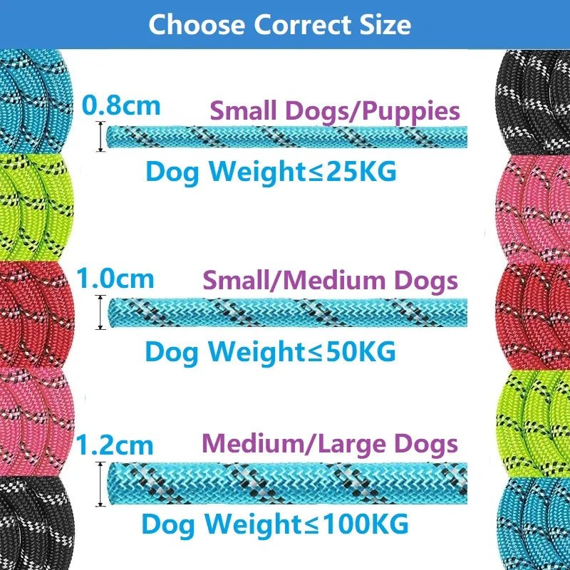 Strong Reinforced Nylon Dog Leash - Heavy-Duty Traction Rope with Soft Padded Comfort Handle for Small, Medium, and Large Breeds