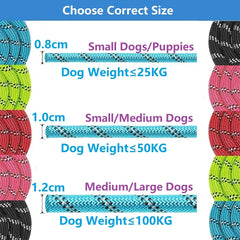 Strong Reinforced Nylon Dog Leash - Heavy-Duty Traction Rope with Soft Padded Comfort Handle for Small, Medium, and Large Breeds