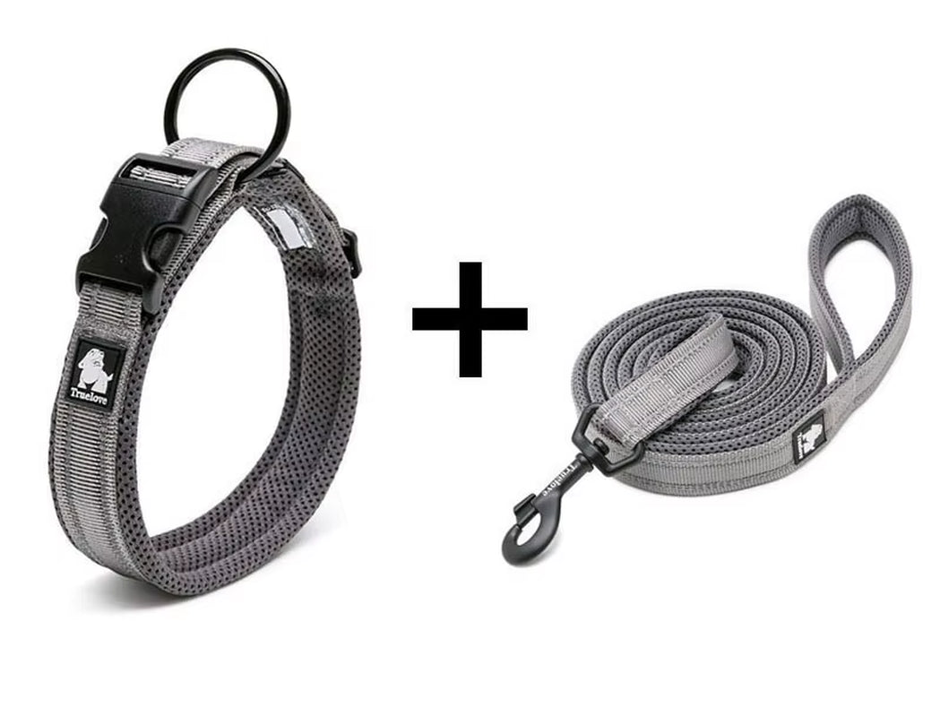 Adjustable Nylon Dog Collar and Leash Combo – Reflective Safety Design