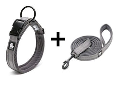 Adjustable Nylon Dog Collar and Leash Combo – Reflective Safety Design