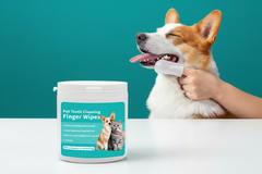 Disposable dog teeth cleaning wipes in a finger-sleeve design being used to clean a pet's teeth to remove plaque and freshen breath.