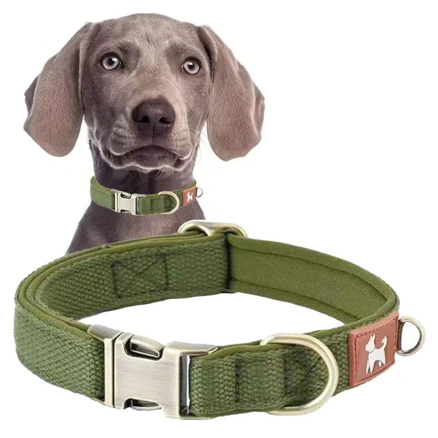 A rugged ranger combat green classic dog collar highlighting its reinforced zinc alloy D-ring and smooth metal adjustment slide for medium breeds.