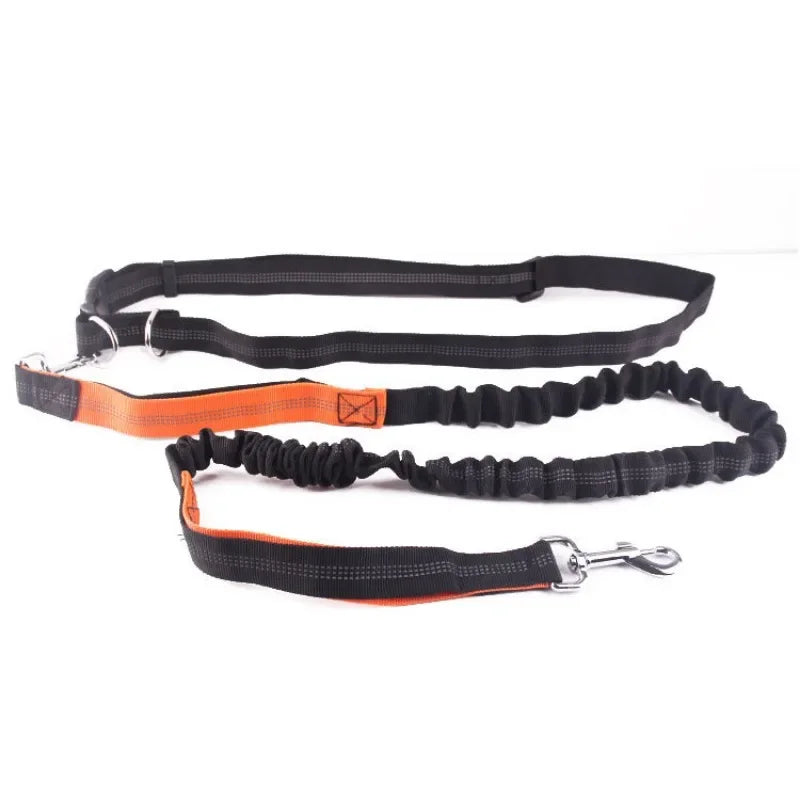 Hands-Free Dog Leash with Adjustable Waist Belt and Shock-Absorbing Bungee - Reflective Running, Jogging, and Walking Traction Rope for Small, Medium, and Large Dogs
