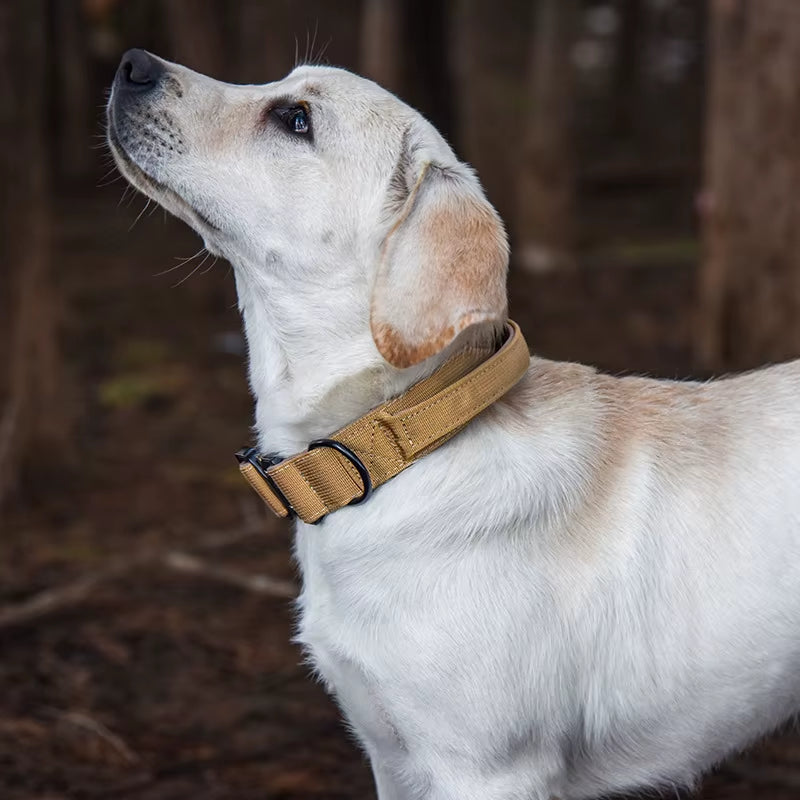 Tactical Dog Collar with Handle - Heavy Duty Nylon Control Collar for Dogs, Quick Release Easy Clean Pet Carrying Collar