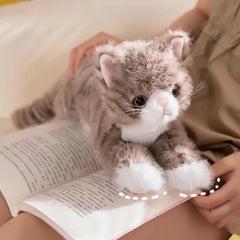 Cat Plush Stuffed Toys - Cat Shaped