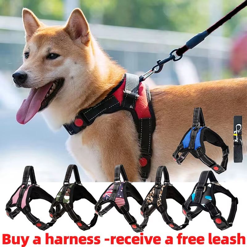 Adjustable Pet Harness with Leash for Dogs and Cats - No-Pull Saddle Vest for Outdoor Walking and Training, Suitable for Small, Medium, and Large Pets
