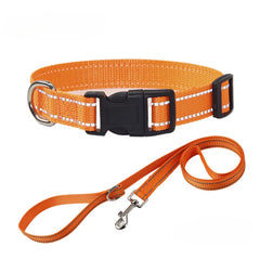 NightGuard Nylon Dog Collar & Leash