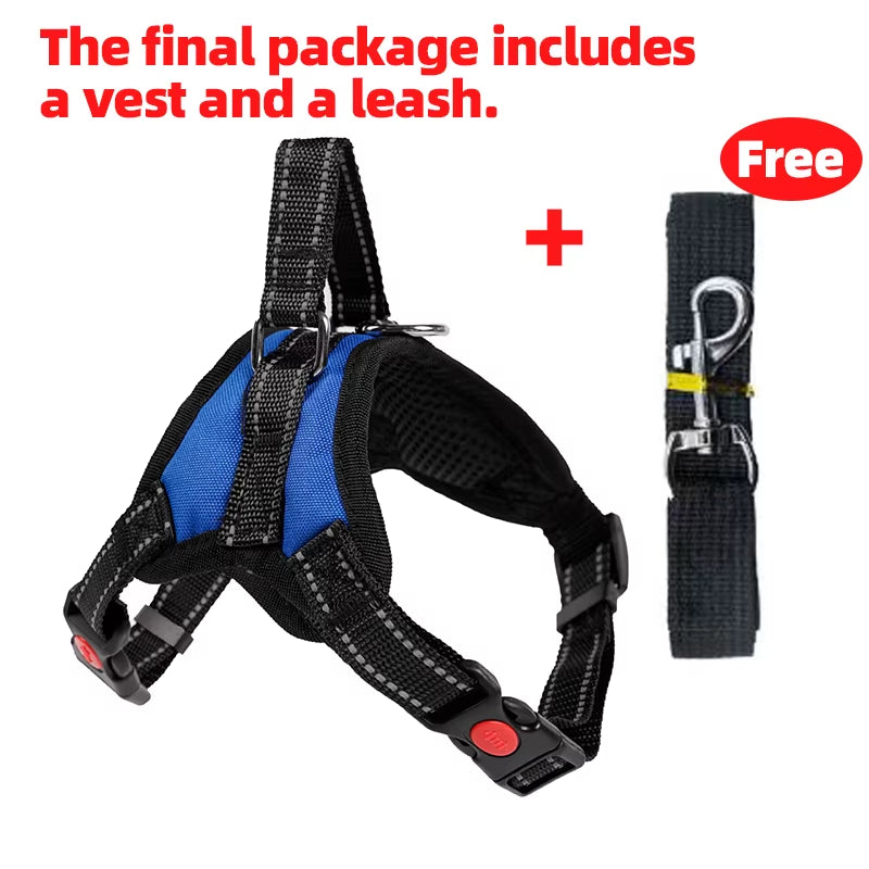 Adjustable Pet Harness with Leash for Dogs and Cats - No-Pull Saddle Vest for Outdoor Walking and Training, Suitable for Small, Medium, and Large Pets