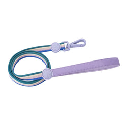 Iridescent Color-Block Dog Collar Leash & Comfort Harness