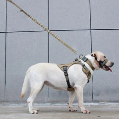 Tactical Large Dog Harness & Leash Set - Explosion-Proof Traction Control Strap - Heavy-Duty Nylon Pet Chest Harness for Training