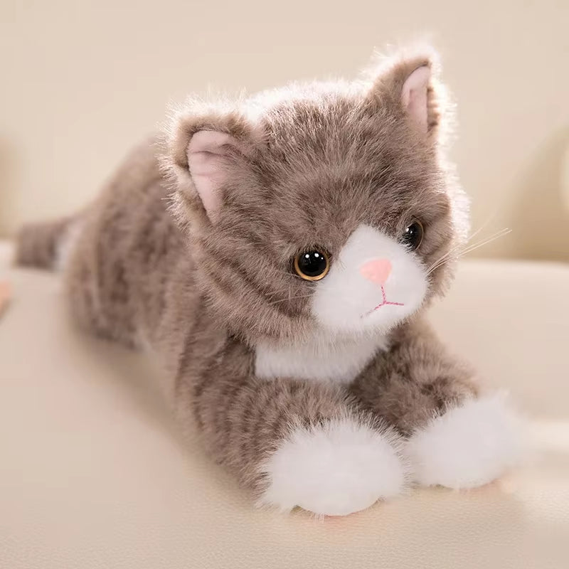 Cat Plush Stuffed Toys - Cat Shaped