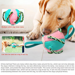 Pet Toys: Interactive Frisbee Soccer & Training Ball for Dogs