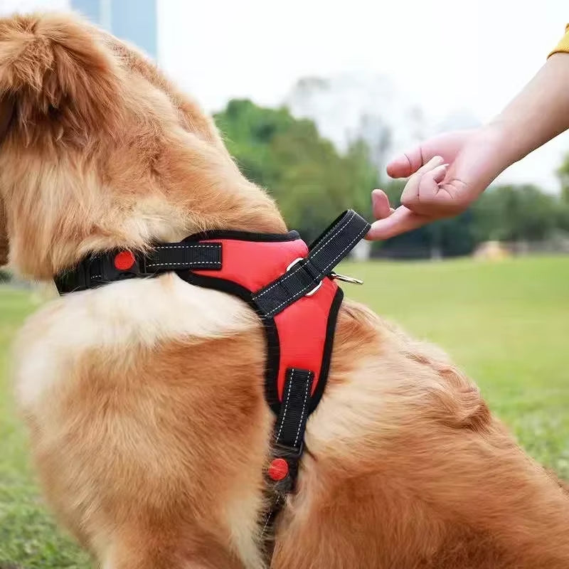 Adjustable Pet Harness with Leash for Dogs and Cats - No-Pull Saddle Vest for Outdoor Walking and Training, Suitable for Small, Medium, and Large Pets