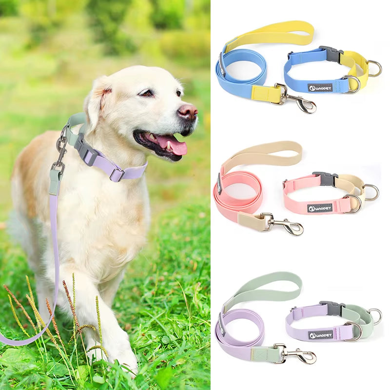 PVC Dog Collar & Leash Set with P‑Chain – Adjustable Training Collar for Dogs & Cats | Waterproof & Easy to Clean