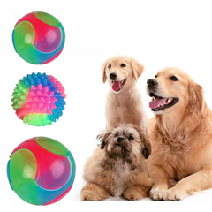 Dogs Glowing Elastic Ball For Training