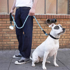 Strong Reinforced Nylon Dog Leash - Heavy-Duty Traction Rope with Soft Padded Comfort Handle for Small, Medium, and Large Breeds