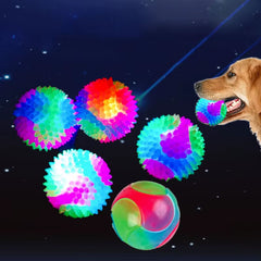 Dogs Glowing Elastic Ball For Training