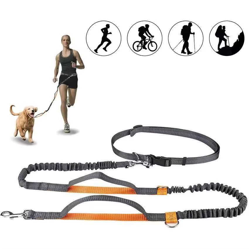 2025 NEW Cat Dog Hands-Free Leash Outdoor Sports Reflective Elastic for Running Dog Leash Chain Adjustable Pet Supplies