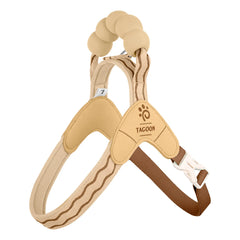 Cloud Cream escape-proof cat walking vest featuring a secure buckle and leash attachment.