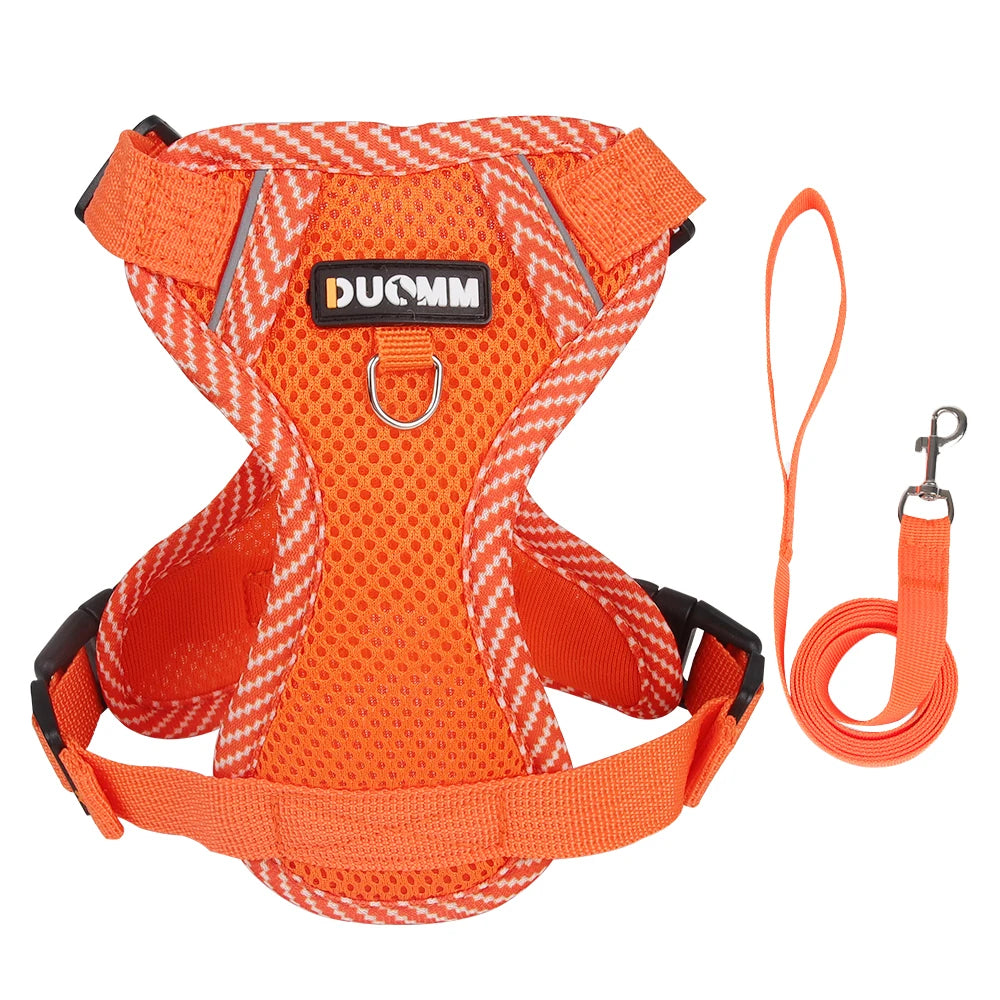 A zesty mandarin orange padded mesh puppy harness showing its dual metal D-ring anchors and secure quick-release composite safety buckle closure.
