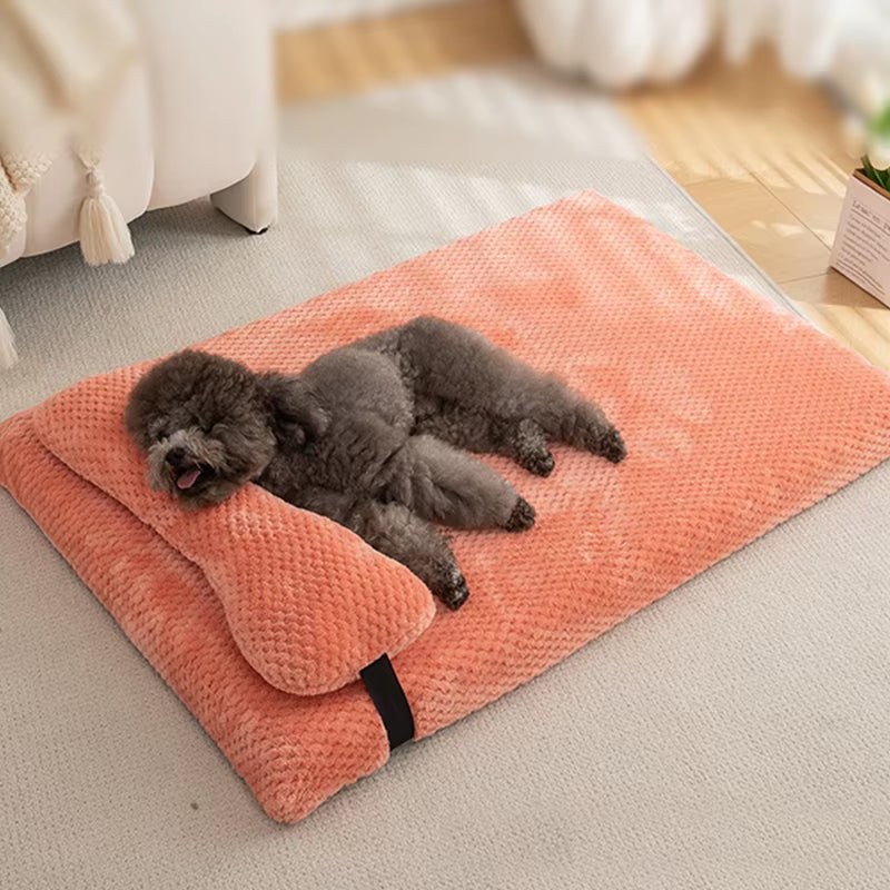 Pets Mats And Pillow Set - Pawzation Special