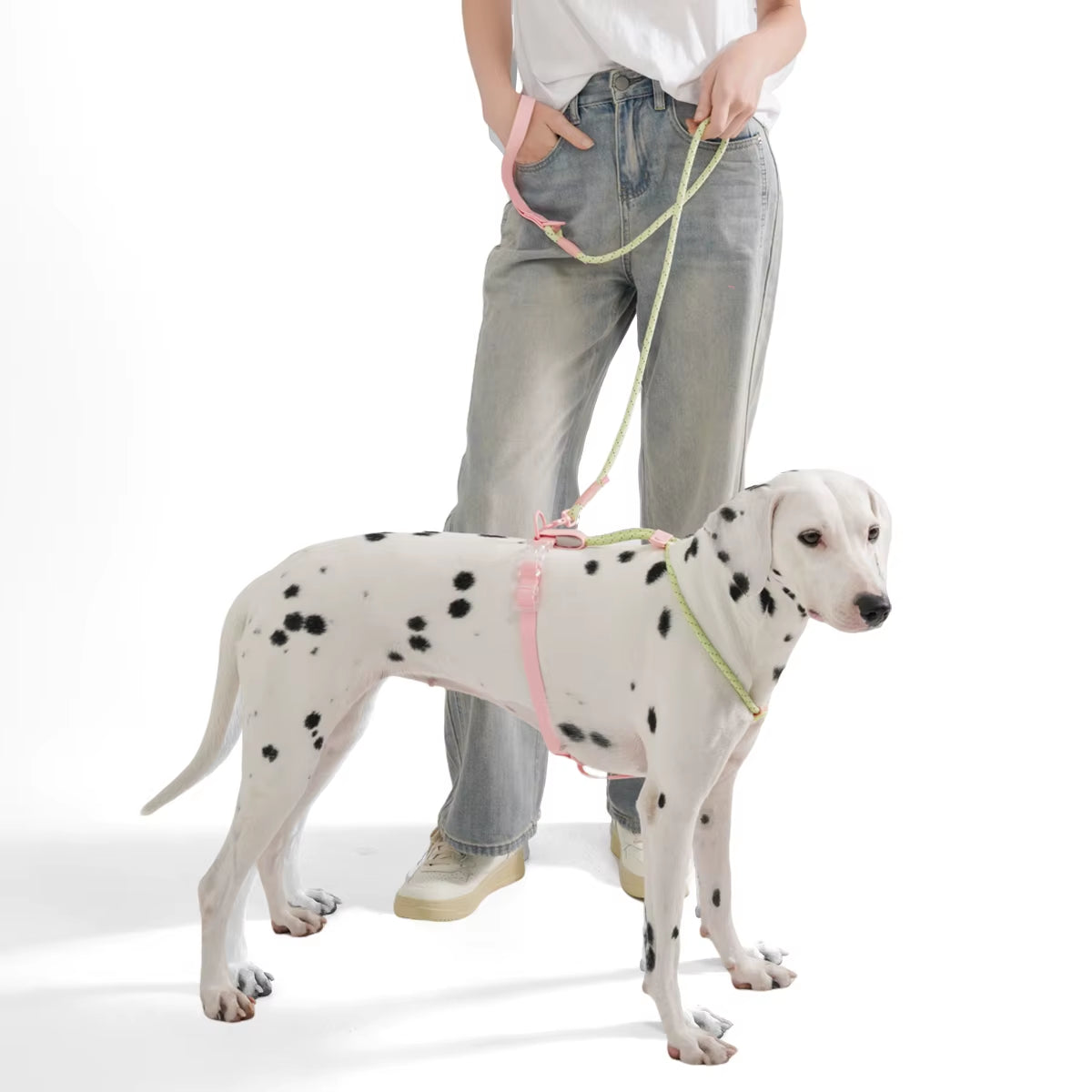 Dogs Leash Harness Set - Summer Special - No Pull Safety Reflective Nylon Leashes
