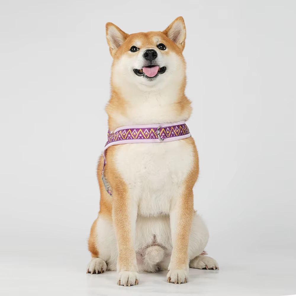 Dog Harness Fashion Printed Saddle, Soft Adjustable No-Pull Padded Vest with Handle for Pet All Breeds