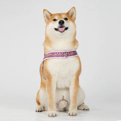 Dog Harness Fashion Printed Saddle, Soft Adjustable No-Pull Padded Vest with Handle for Pet All Breeds