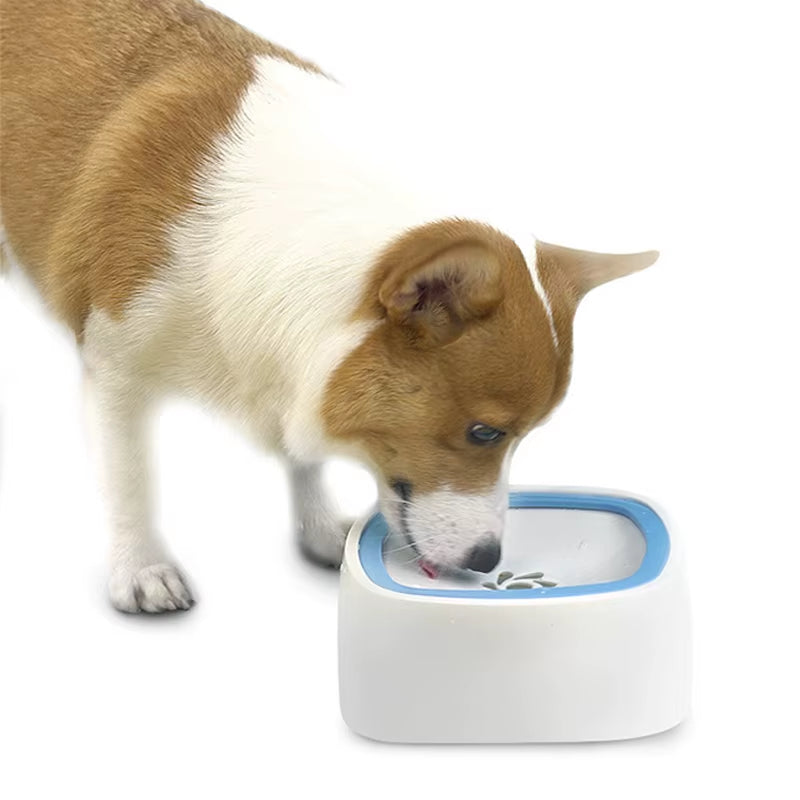 Pet Fountain with Anti-Overflow and Slow Water Feeding Features for Cats and Dogs