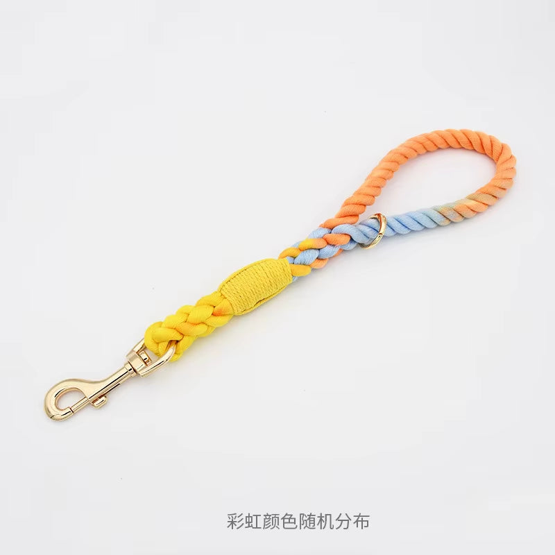 Loudik P-Chain Collar Leads - Fancy Styles