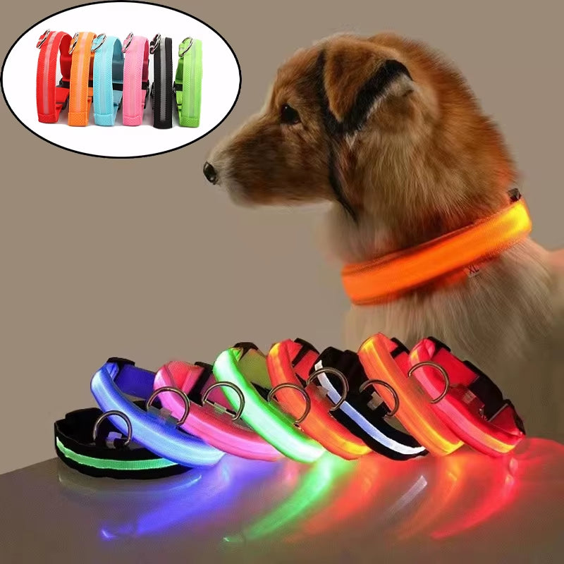 Reflective Nylon LED Pet Dog Collar Safety Night Walking Flashing Glow in the Dark Pet Luminous Dog Accessories Collar