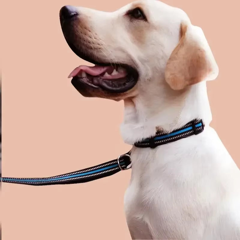 Reflective Dog Collar for Small to Large Dogs - Adjustable Safety Nylon Puppy Collar - High-Visibility Sturdy Neck Collar for Night Walking