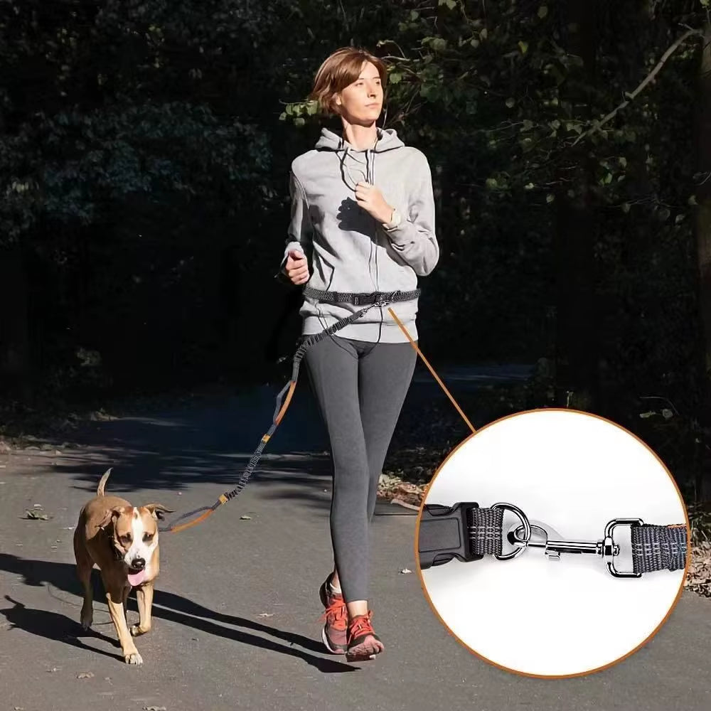 2025 NEW Cat Dog Hands-Free Leash Outdoor Sports Reflective Elastic for Running Dog Leash Chain Adjustable Pet Supplies
