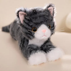 Cat Plush Stuffed Toys - Cat Shaped